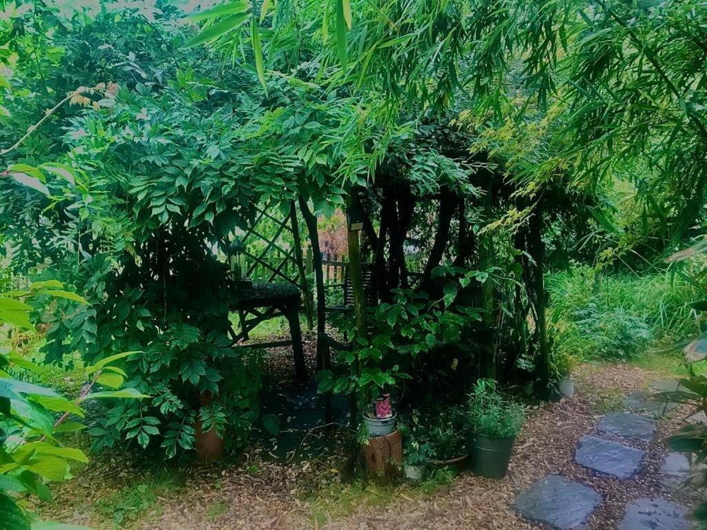 The Garden Room Рингуд Екстериор снимка