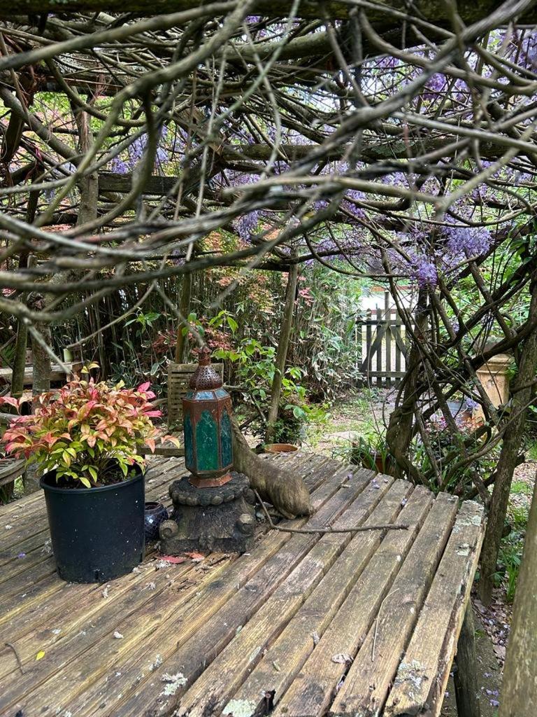 The Garden Room Рингуд Екстериор снимка