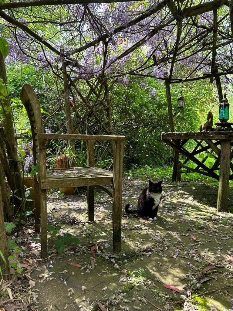 The Garden Room Рингуд Екстериор снимка